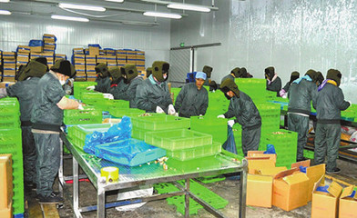玉溪市人民政府 筑牢食品安全防线，守护群众“舌尖上的安全”